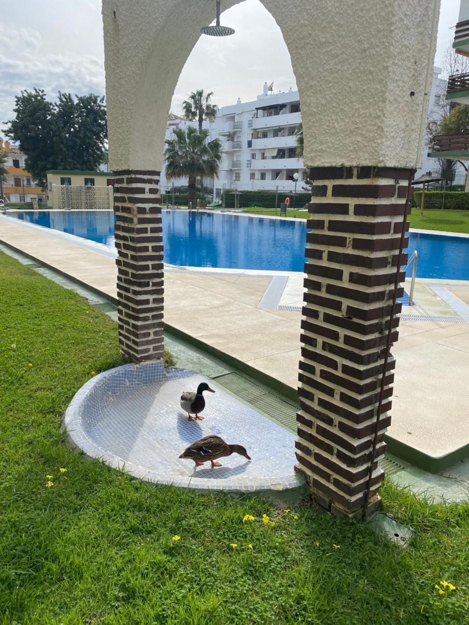 Apartamentos Naciones Playa, Los Molinillos Benalmádena Exterior foto